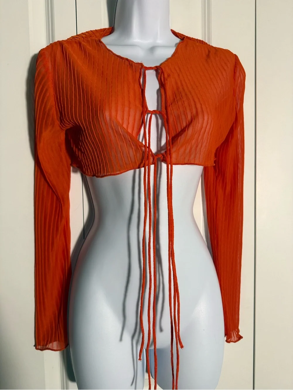 Zara sheer cropped
